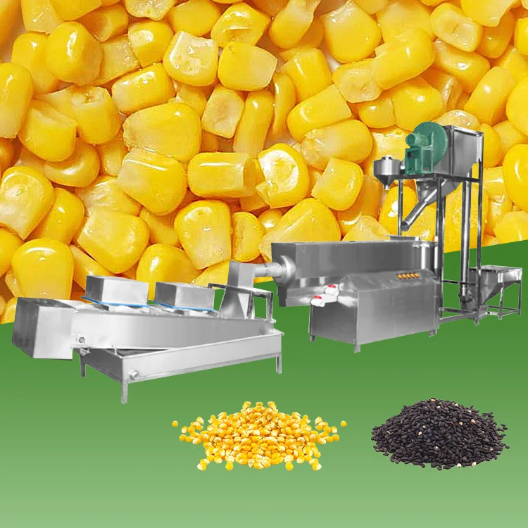Grain Seed Washing Drying Machine Sesame Seed Cleaning Machinery Wheat Cleaning Machine Price