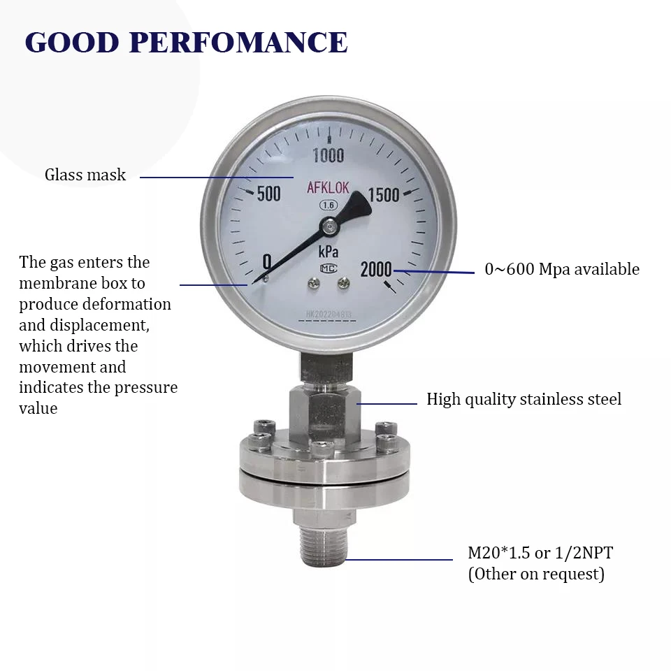 4 Inch / 100 Mm Sealed Diaphragm Pressure Gauges Pharmaceutical
