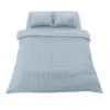 Sky Gingham