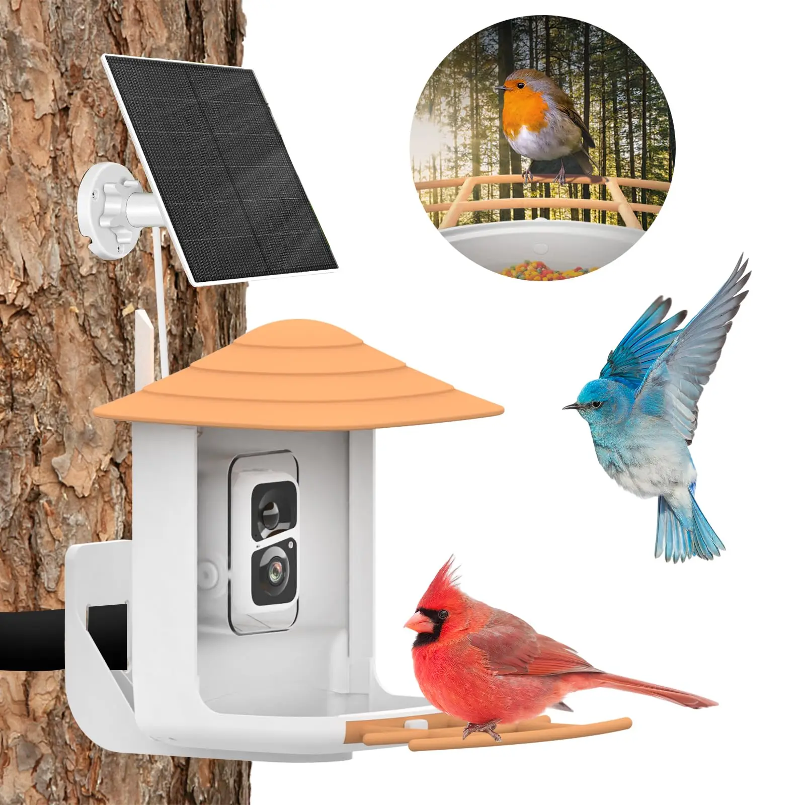Ai Recognition Smart Bird Feeder With 1080p Camera Pir Auto Record Bird