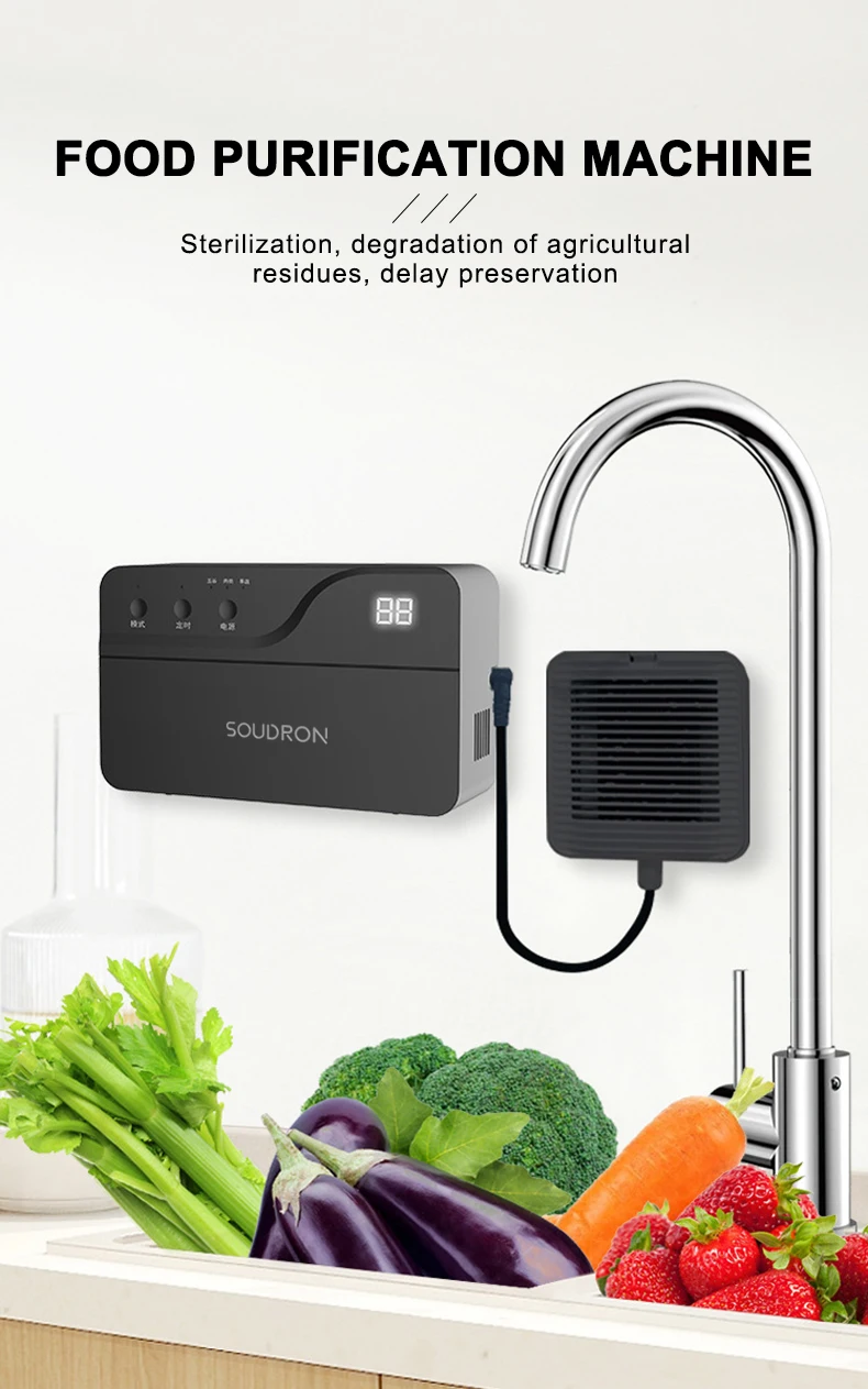 Wall Mounted Electrolysis Household Food Cleaner Fruit And Vegetable