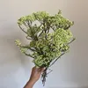 Verde claro