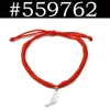 25A29-Silver Charm