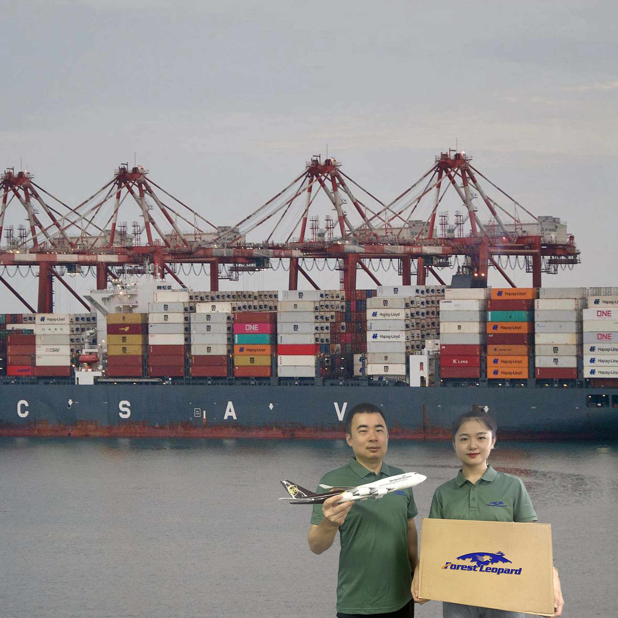 Free Sourcing Service China Cheap Seafreight International Shipping Forwarding Agent in Shenzhen Guangzhou to USA Canada UK Ddp