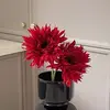 2 red chrysanthemums