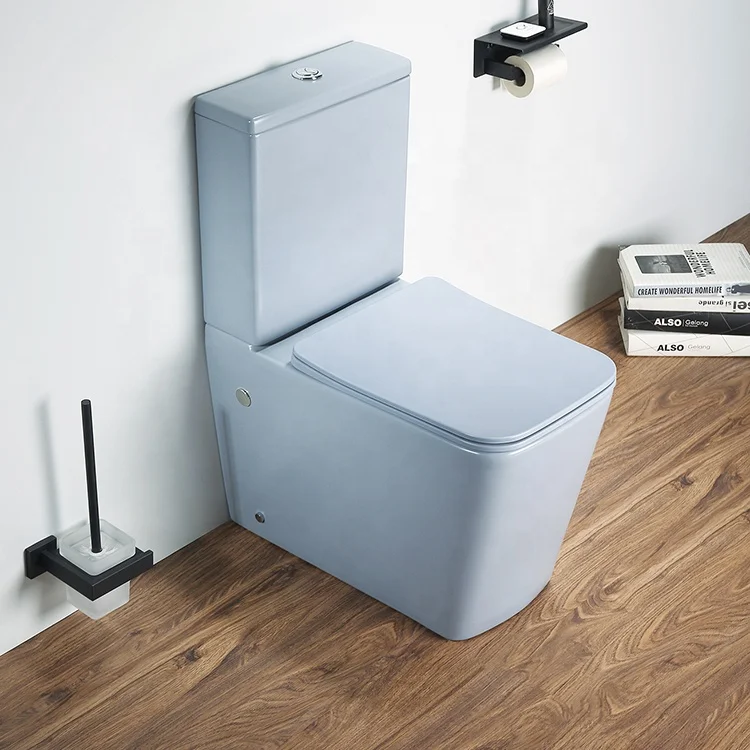 Modern European Two Piece Toilet - P-trap, Floor Mounted, Matte
