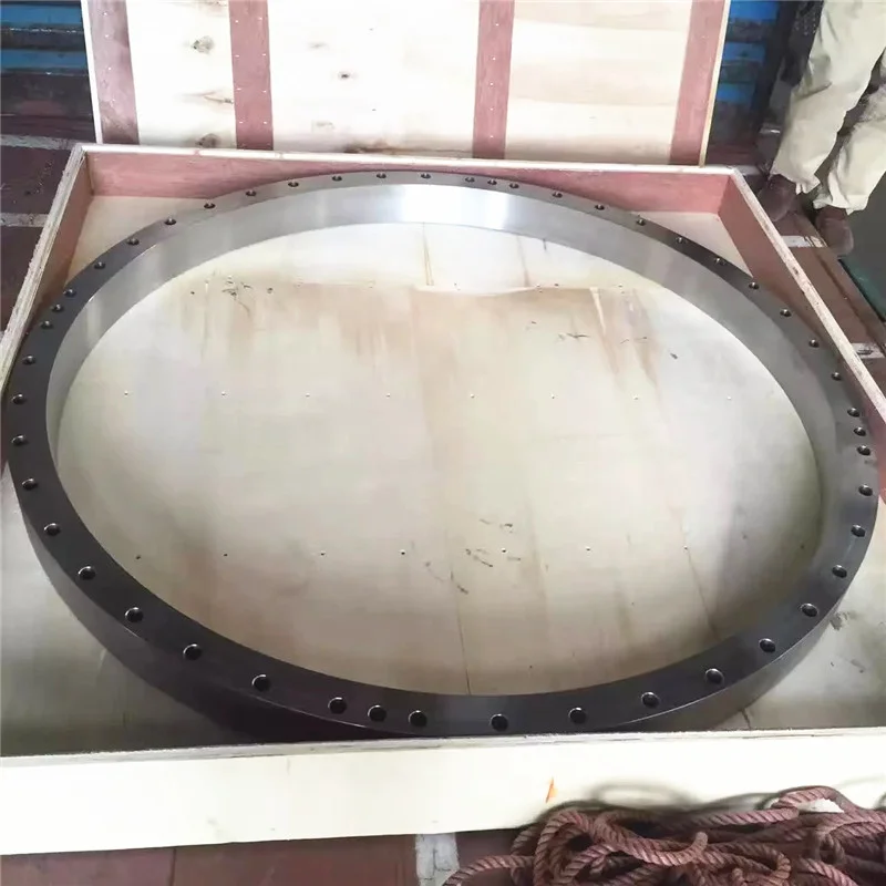 Drawing Customized Stainless Steel SS 304 316 EN1092-1 Type 01 PN10 PN16 DN300 PL  FF Flat Face Loose Plate Flange Plate Flange