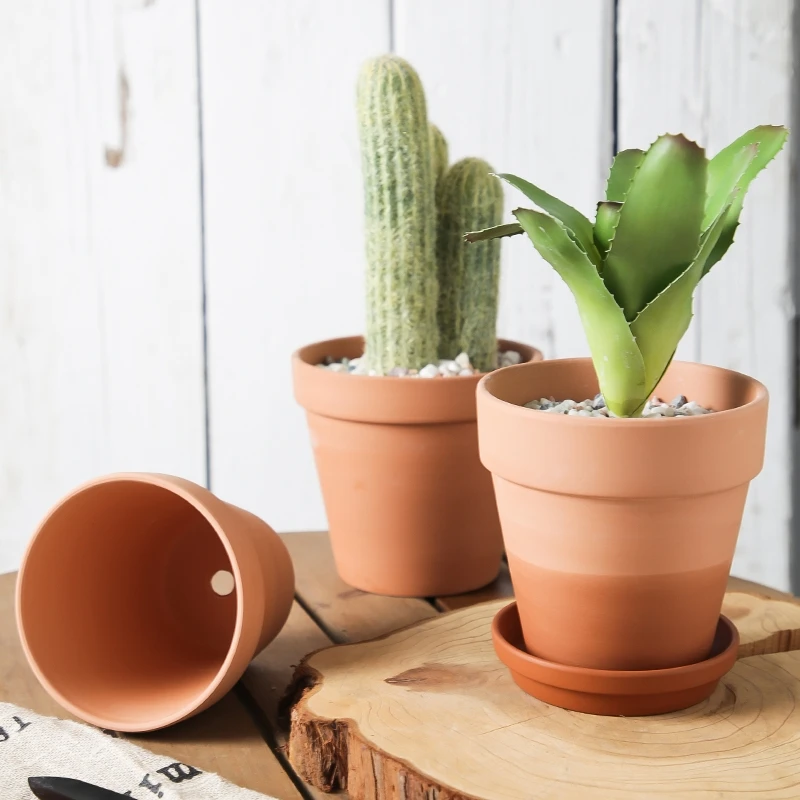 Classic Terracotta Pots - Perfect for Succulent Plants