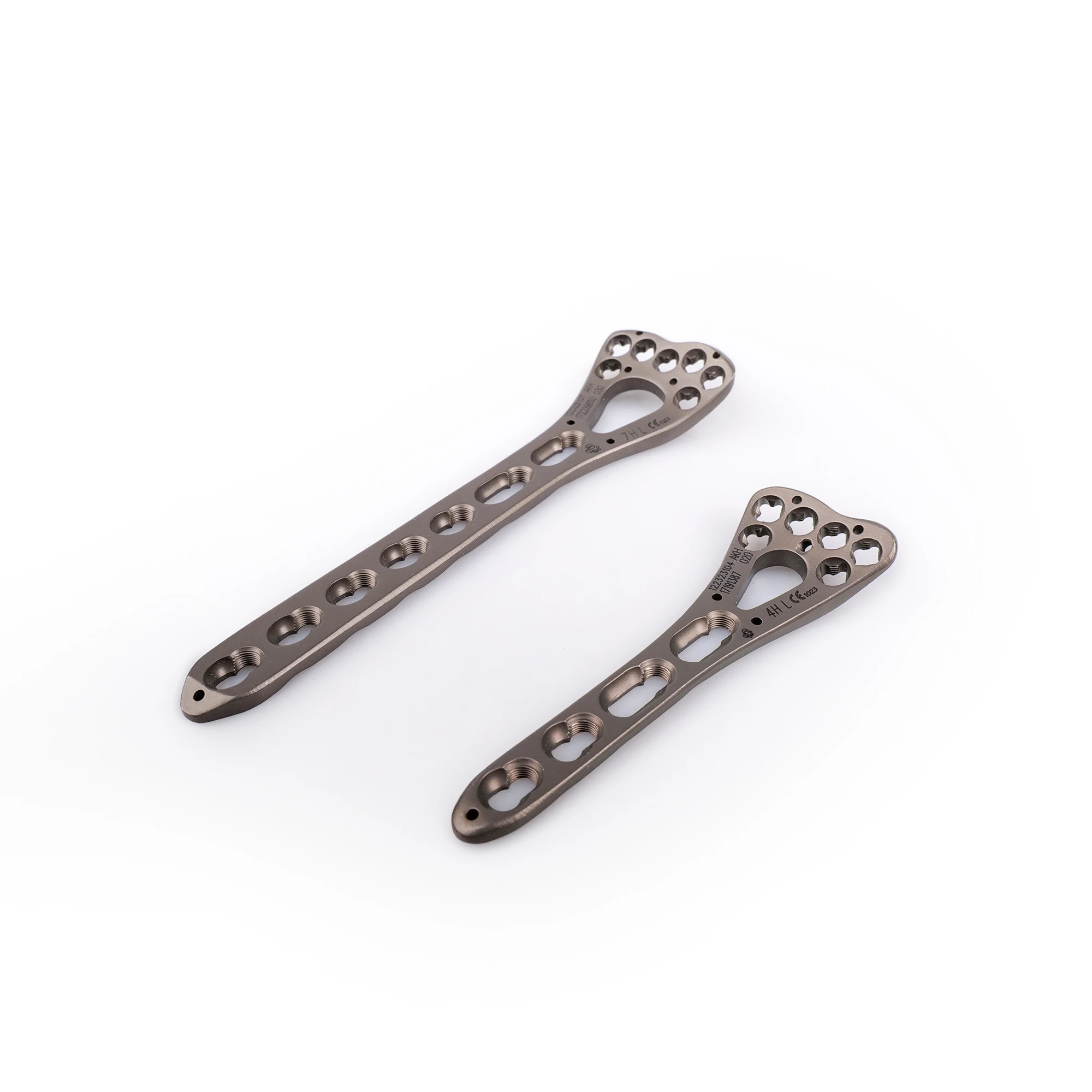 Orthopedic Surgical Implants