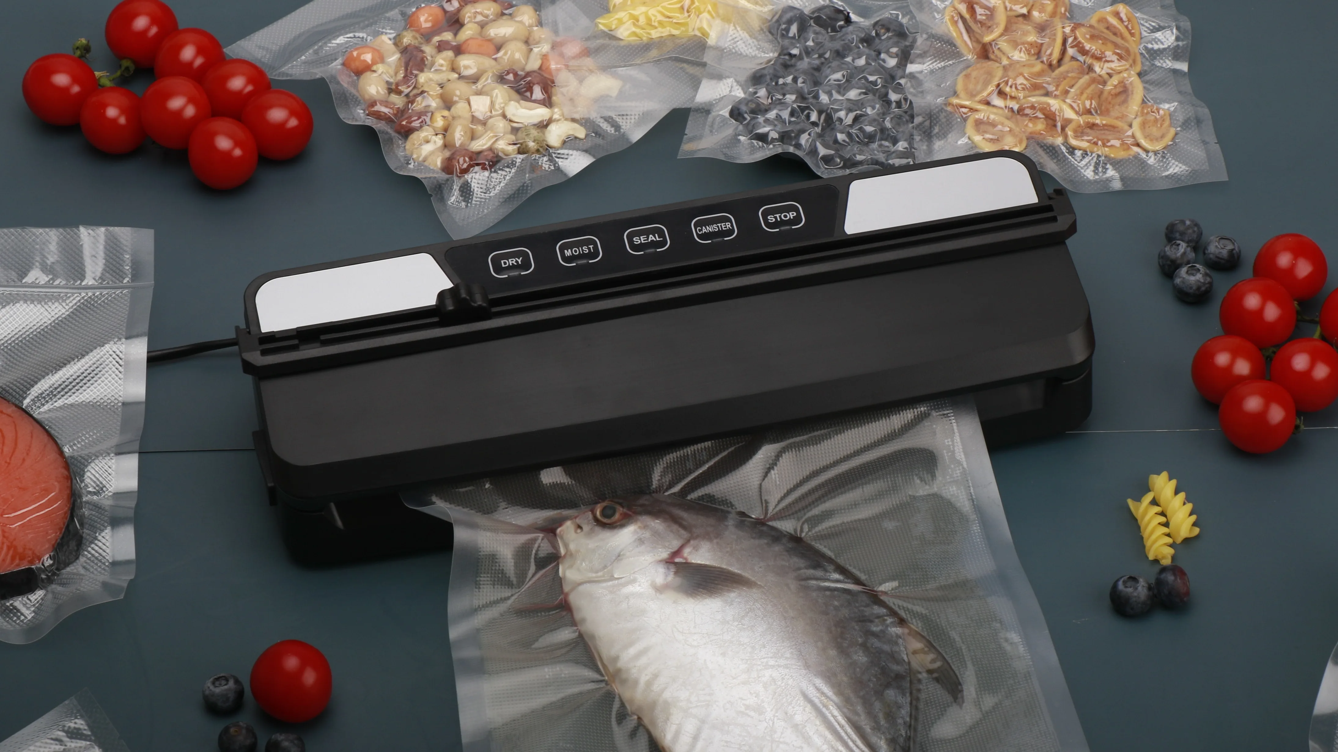 Ootd Factory Directly Supply 110v/220v Hot Sale External Vacuum Sealer