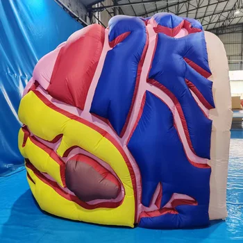 Customized Quality Waterproof Tent with Built-in Fan Advertised Inflatable Brain Model for Medical Exhibitions