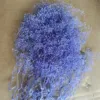 Azzurro viola