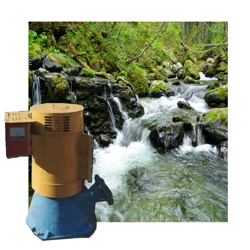 800w To 10kw Hydroelectric Generator Mini Small Hydroelectric Generator Hydroelectric Power