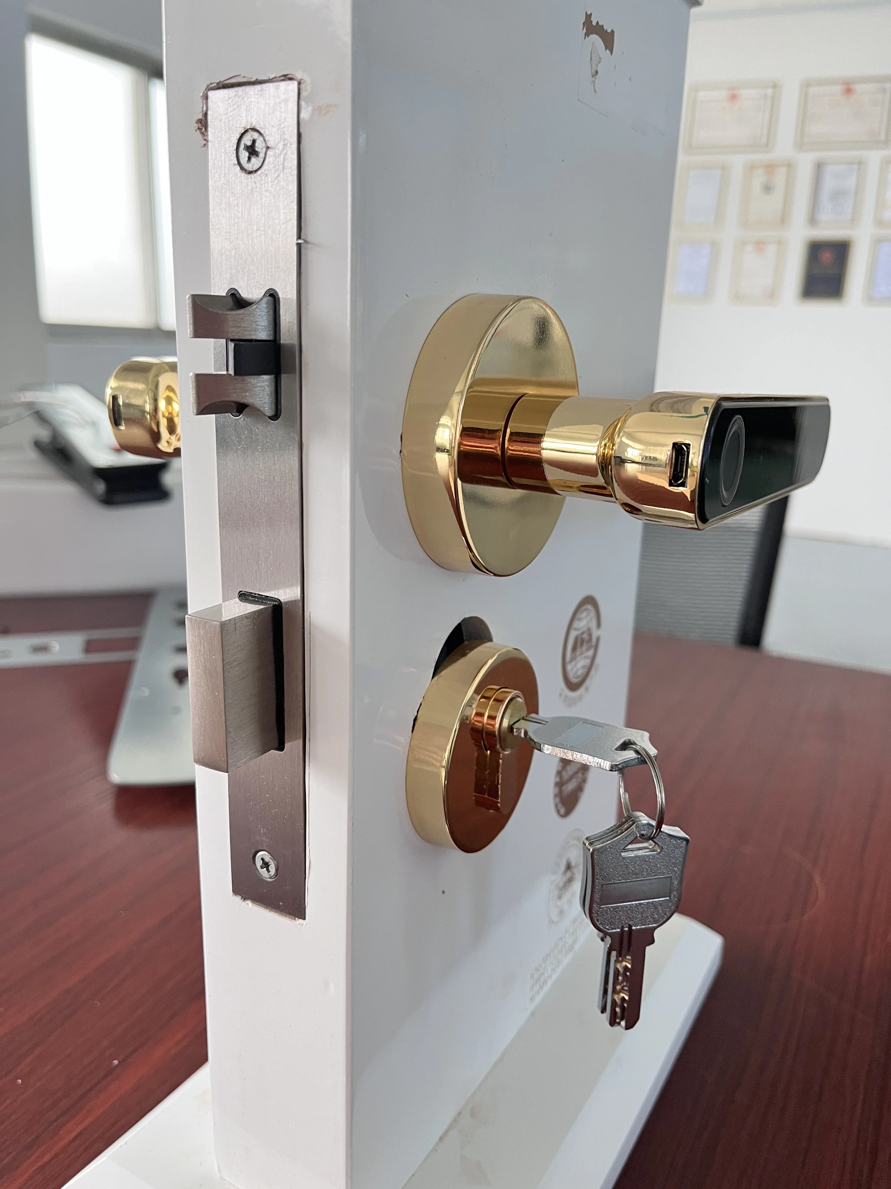 Smart Handle Door Lock with Biometric Password Fingerprint Keypad Emergency Key for Home Security
