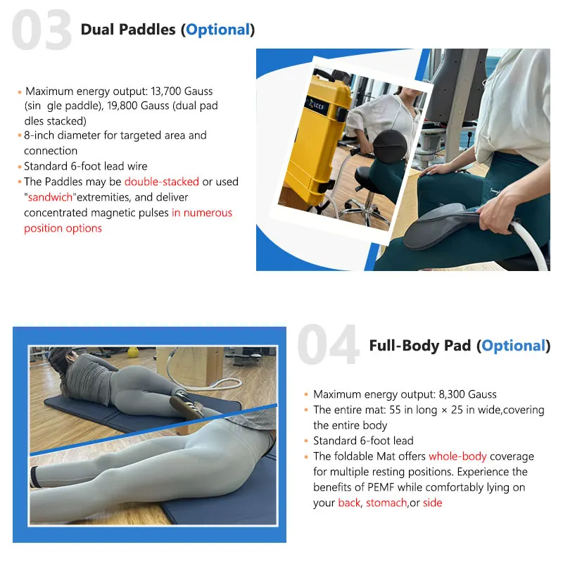 Pemf Equine Animals Pain Relief PEMF Magneto Loop Therapy for Bones Repair Physiotherapy Machine