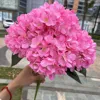 Ortensia francese - rosa intenso