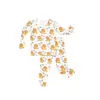 Lion print
