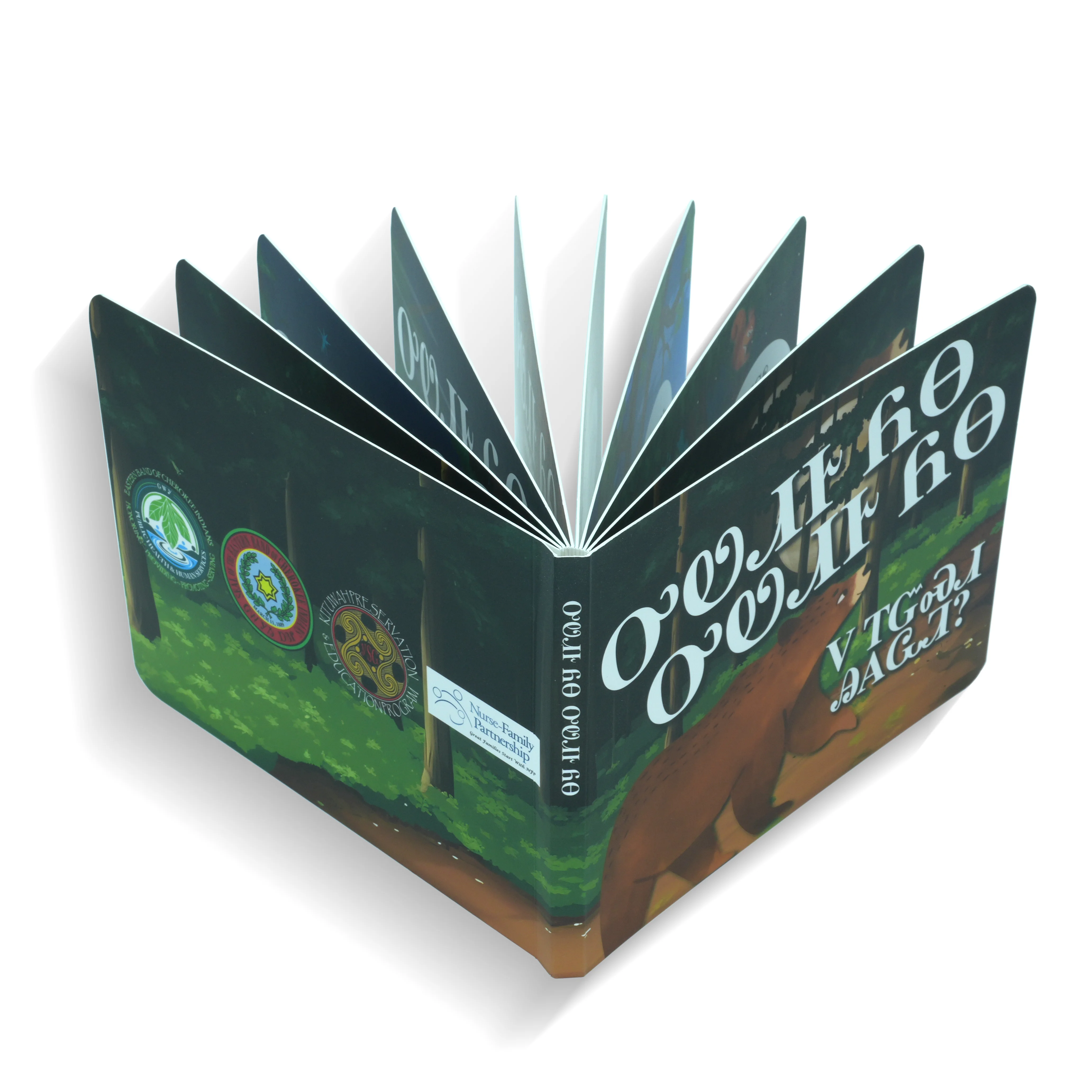 Chinese Factory Children's Custom Printed Cardboard Hard Cover Storyboard Books with English Pictures details