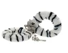 Zebra stripes