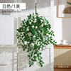 Colgante de pared Augs Rose - Blanco