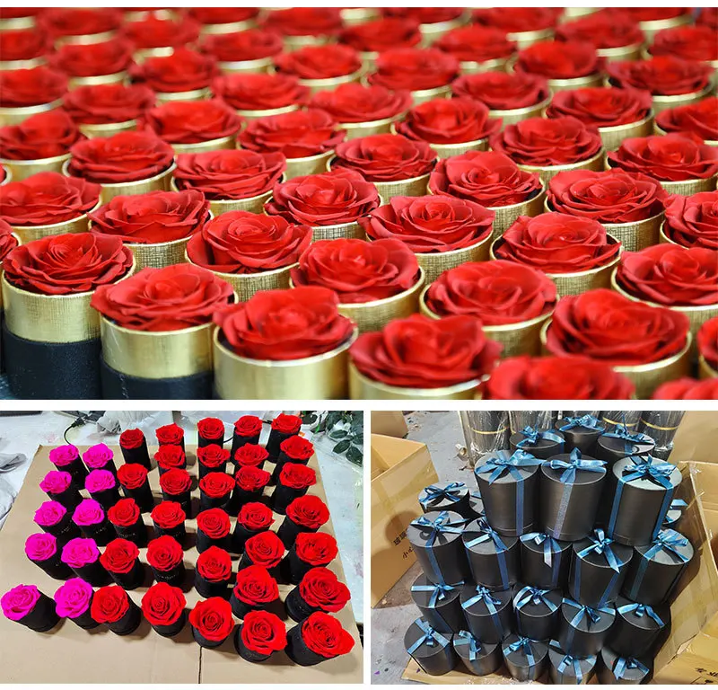 Valentine Gift Hot Sale Everlasting Rose Natural Eternal Immortal Decorative Flower Stabilized Forever Preserved Roses in Box details