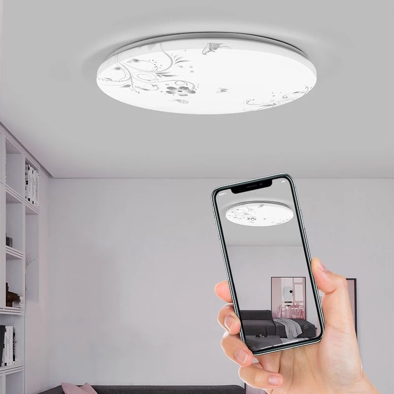 Wopoltop Human Infrared Induction Led Induction Ceiling Light Sound