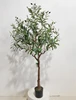 Green 150cm (Old Version Thick Trunk)