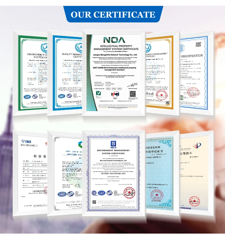 dual receive high bandwidth low latency broadband ad hoc networking terminal device-12