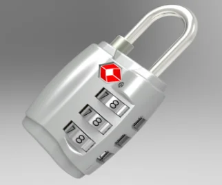 TSA 10.png