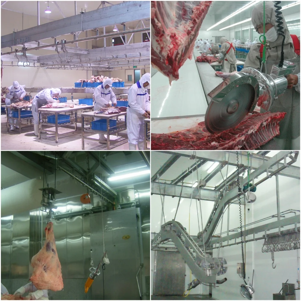 Customizable cattle slaughtering lines for modern slaughterhouses and meat processing plants