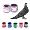 Color personalizado