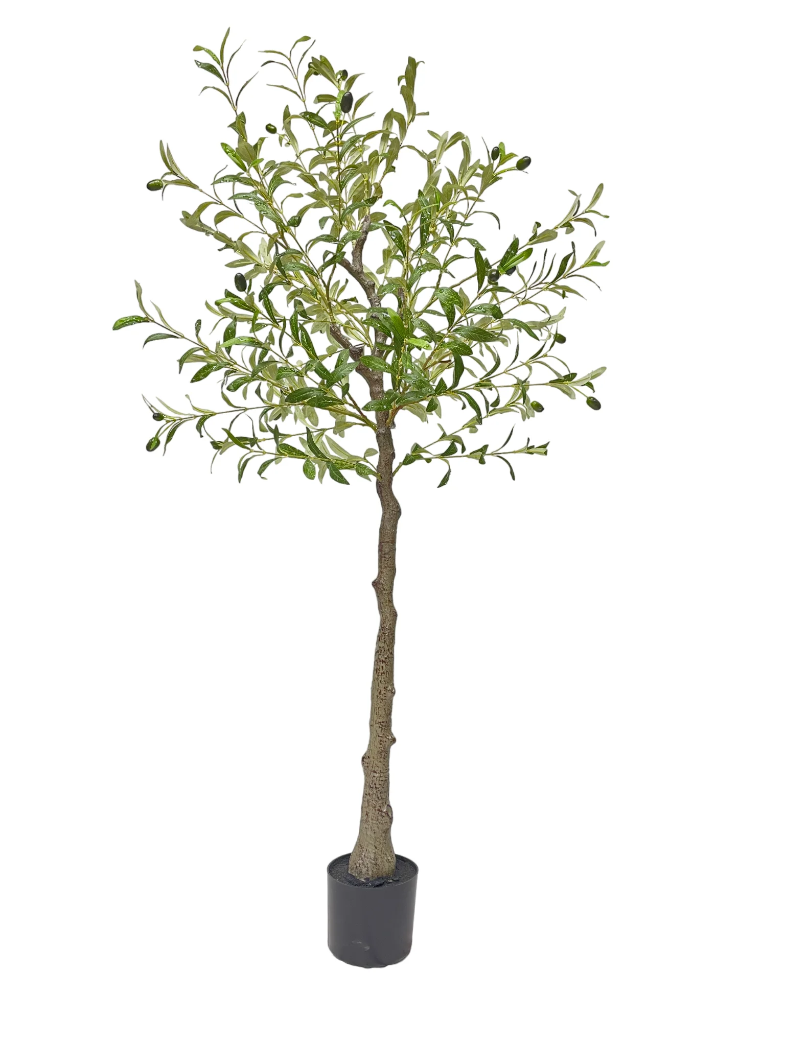 Stock Available Highgrade Highly Realistic Artificial Olive Tree