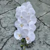 No.2 blanco