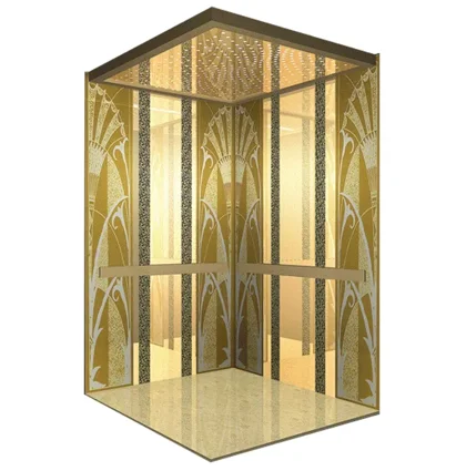 630kg Elevator 1050kg Load VVVF Control Residential Passenger Elevator Lift Price ARD Function Lift