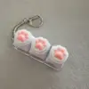 3 llaves pata de gato + base transparente