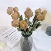 10 rose capsicine