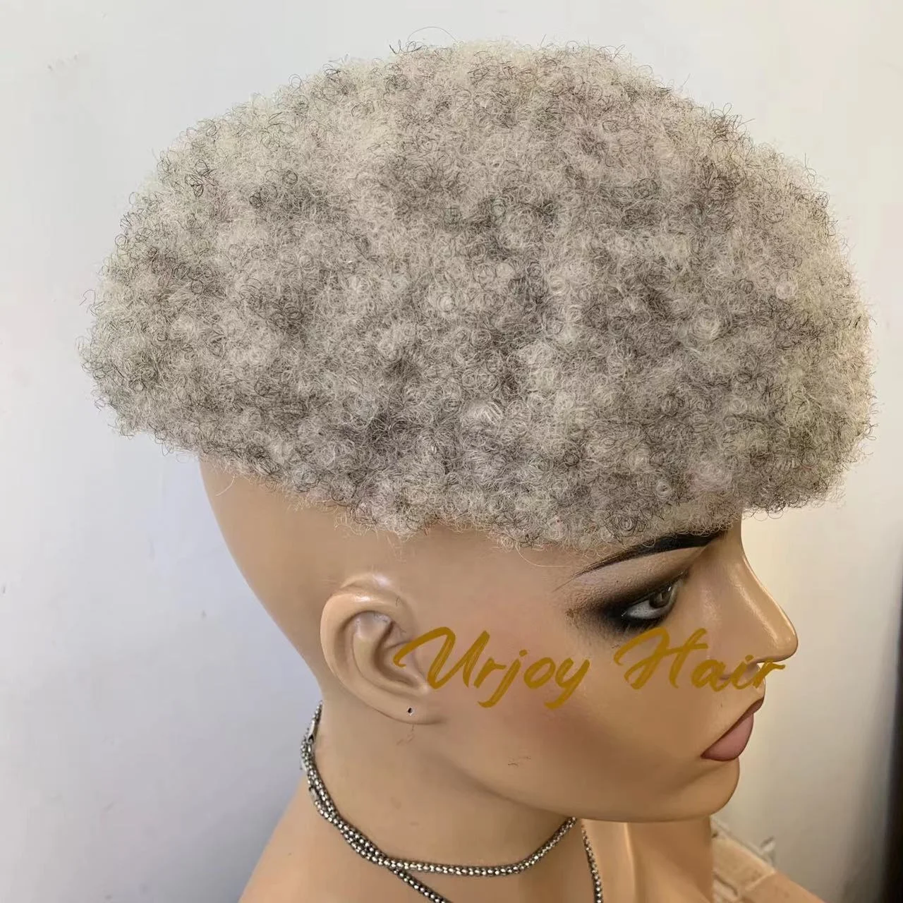 セール 極めて希少種 レア ホヤ リマ Hoya lima splash 週末セール