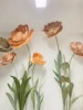 Orange1