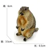 2732 marmotte-54g