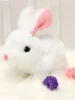 lapin blanc