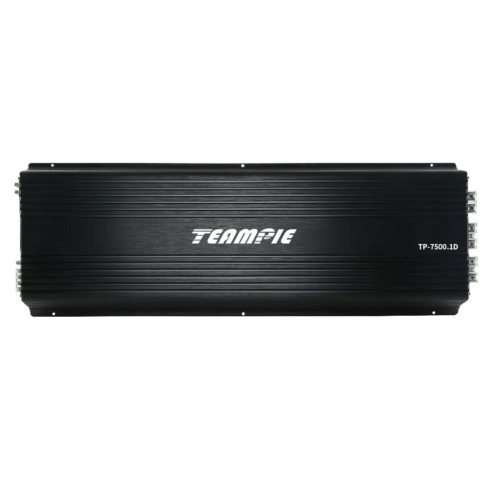 Monoblock Amplifier Car Audio Class D 