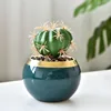 Green flower pot (without plants)