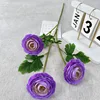 สีม่วง