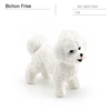 Bichón Frisé