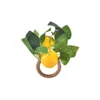 Hand woven lemon