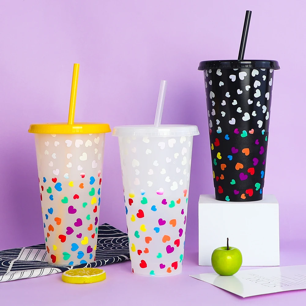 Customized 24 Ounce Plastic Tumbler With Lid and Straw. Cold Cup