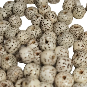 White Bodhi Seed Lotus Necklace Natural Buddhist Prayer Mara Necklace Beaded Bracelet