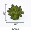 BF003