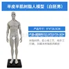 30cm Resin Figure - Uncut - Male