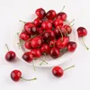 Cherry (two-tone)